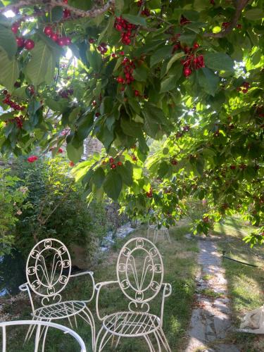 Apartamentos CerroNegro