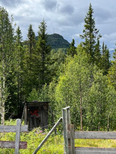 Vannas istaba, Koselig hytte på hugastølen (Koselig hytte pa hugastølen) in Vevle