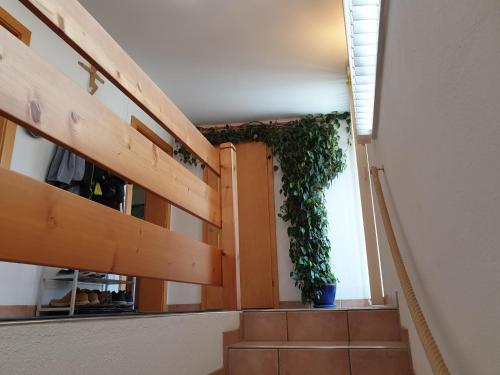 Ferienwohnung Zum Glück - image 4