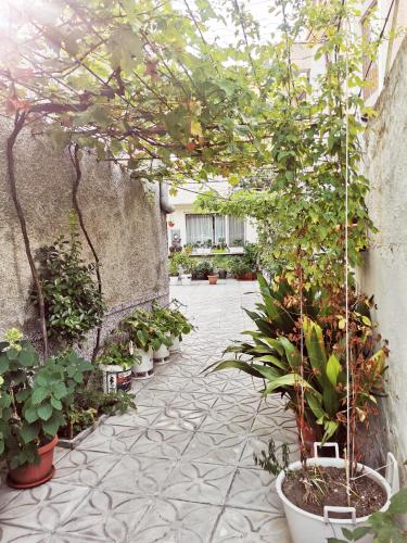 Jardín, Studio Garden City Center Pomorie in Pomorie