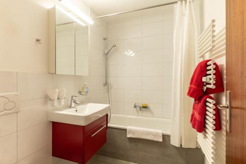 Center Studio Zermatt by Inspiring places Zermatt, Zermatt (fotografie 7)