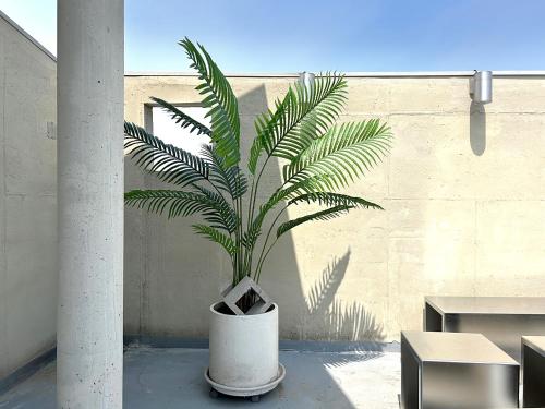 Private duplex house with a nice rooftop - Foreigner only, Soul (fotografie 4)