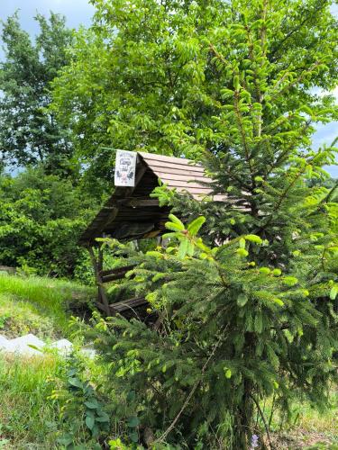 . Кемпінг Під Горіхом