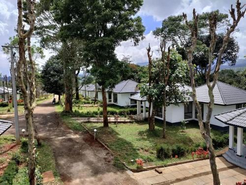 Mountain Hills in Pozhuthana