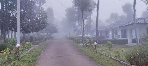 Mountain Hills in Pozhuthana