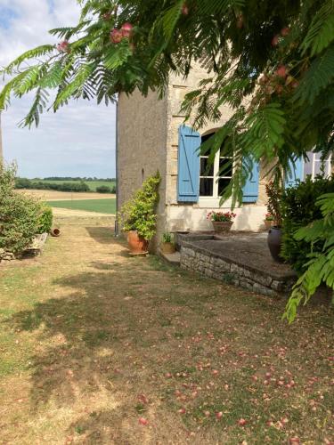 Vaade, Silk Tree in Gournay-Loize