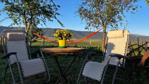 리냐노 갈가니코 La Dimora del Grano 4星级 民宿 客房