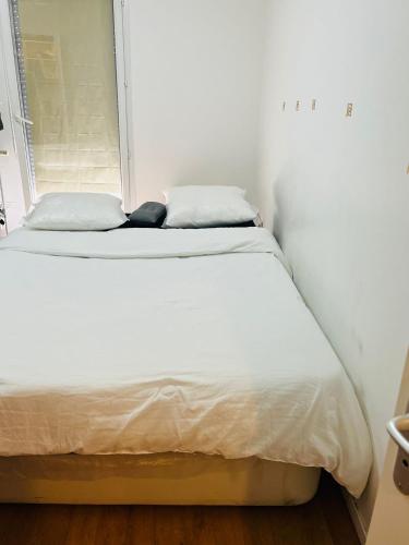 Chambre pinsel - Pension de famille - Montereau-Fault-Yonne