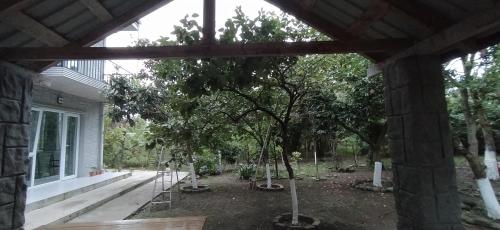 Apartment on Kobuleti beach., Kobuleti (foto 6)