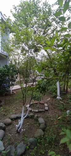 Apartment on Kobuleti beach., Kobuleti (foto 7)