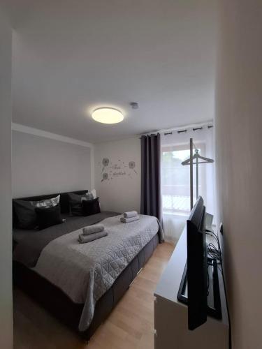 Ferienwohnung mit Balkon, Schwandorf in Bayern (fotografie 3)