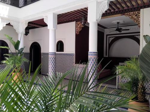 Riad Yakimour - image 14