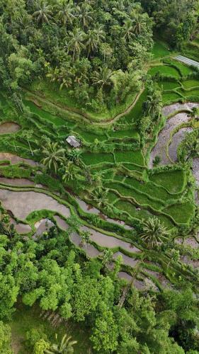 Tetebatu Sunrise Homestay in ซิกูร์