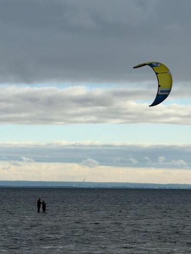 Fun Like Hel Kite&Wind