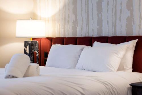 Luxury Refurbished City Retreat, Glasgow (Foto 5)