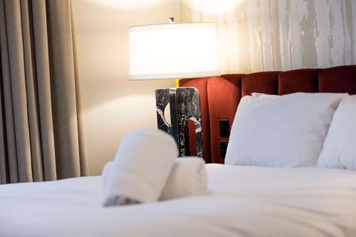 Luxury Refurbished City Retreat, Glasgow (Foto 8)
