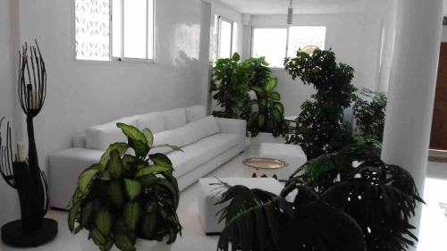 Fabulous Riad Moroccan Modern Fab Terrace Center Agadir in 탈보르트
