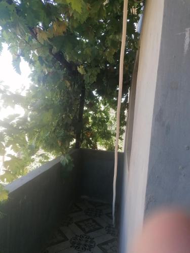 الاردن عجلون رأس منيف (الاردن عجلون رأس منيف) in Ajloun