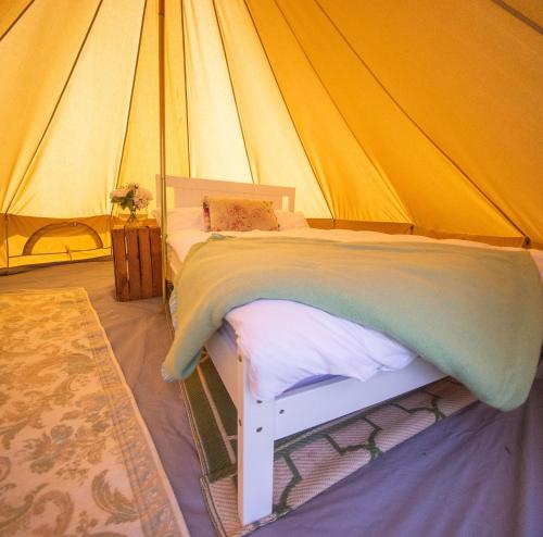 Little Lodge Glamping in Laxfield