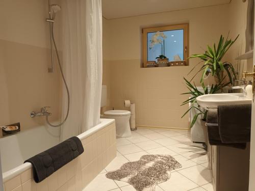 Waldmagie in Bobrach