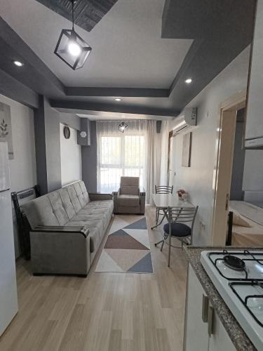 Zeytin Apart 1 in Asmalievler
