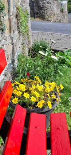 Dairy Cottage Courtyard accommodation in Bunmahon