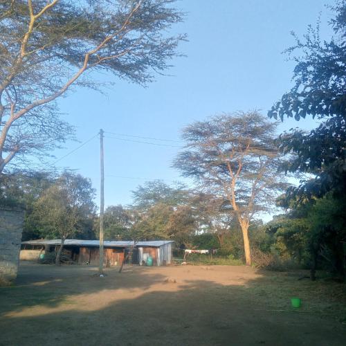 Mastev Campsite Undeveloped in Naivasha
