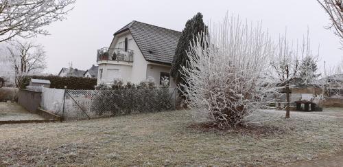 Ferienwohnung Kramer in Ruber
