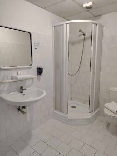 Hotel Legie, Prague (photo 11)