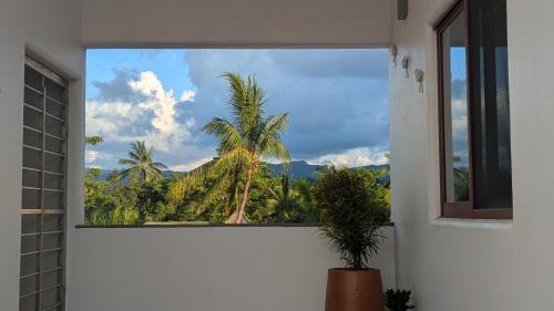Departamento Los Gallos, tercer piso gran terraza in Lo de Marcos, Mexico