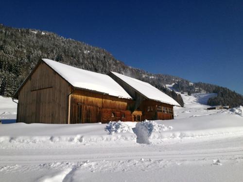ทัศนียภาพภายนอกโรงแรม, Leo's Hütte Sippersegg (Leo's Hutte Sippersegg) in ฮิททิเซา