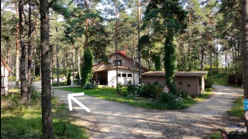 Juniper tree house in Remniku