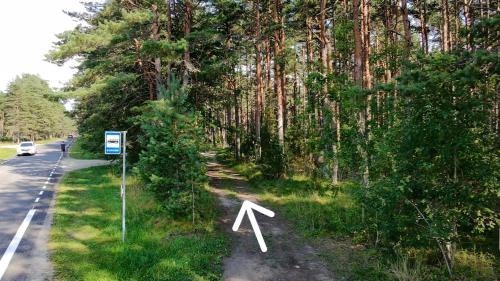 Juniper tree house in Remniku