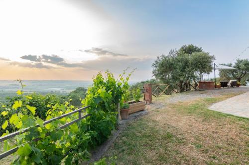 ทัศนียภาพ, Umbrian Farmhouse Lake and Olive Grove View in ปานีกาเล