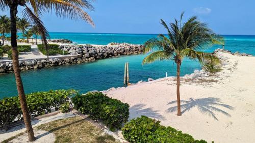 Bimini Tides in Port Royal