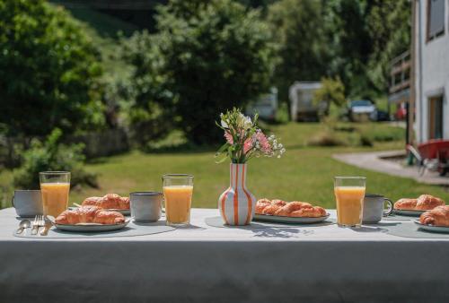 Garden, Alpino STAY Geraumige Ferienwohnung am Alpsee mit Garten in Immenstadt im Allgau