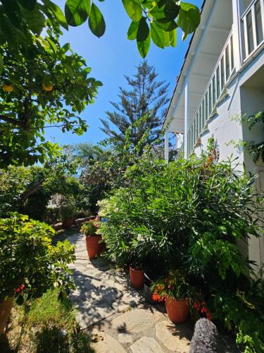 Paralies Resort near สนามบินภายในประเทศเกาะสเคียทอส