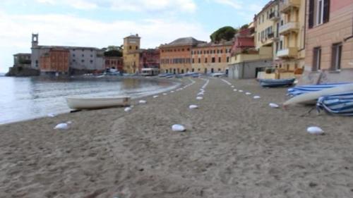 Casa Erina in Sestri Levante