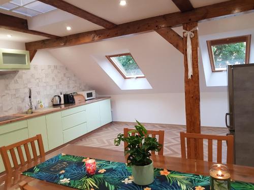 Apartament "W Sz" pod Klonami