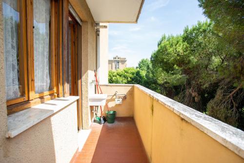 Erkély/terasz, Cisanello Lodge in San Michele