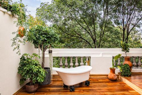 La Valise Mexico City, Member of Small Luxury Hotels - 발코니/테라스