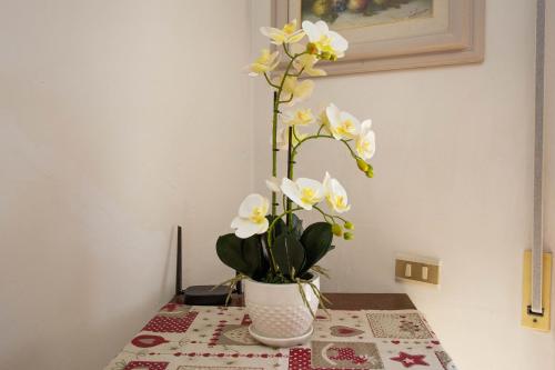 Cisanello Lodge in San Michele