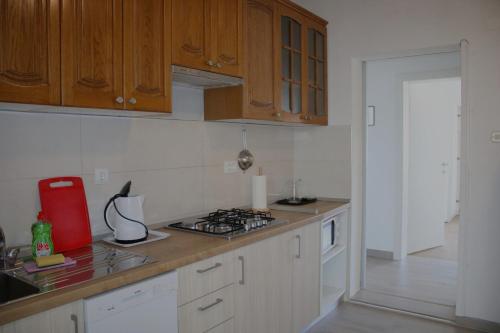 Kitchen, Apartments by the sea Drasnice, Makarska - 5265 in Drasnice