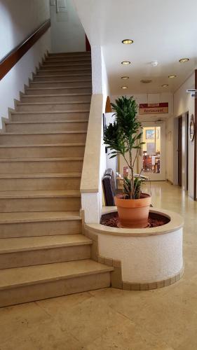 Spalenbrunnen Hotel & Restaurant Basel City Center - image 14