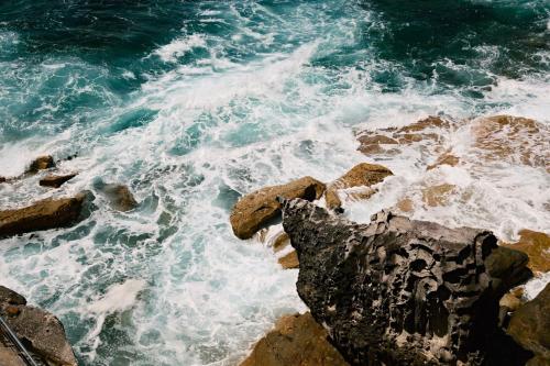 Saltwater Bondi Two - image 13