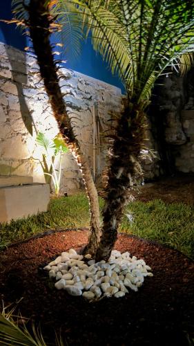 花園, Villa Cerro Escondido in 奇亞帕德哥爾索