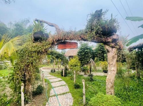 Hải Long Homestay - 전망