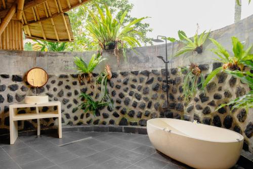 Aura Cendana Hill Sidemen in Sidemen