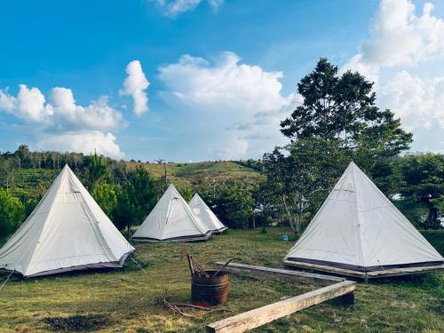 Higg Farm Resort & Glamping - 편의 시설/서비스