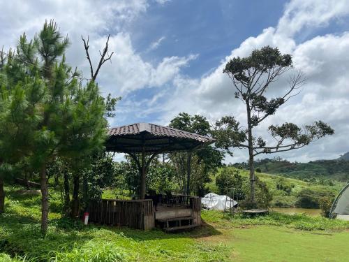 Higg Farm Resort & Glamping - 정원